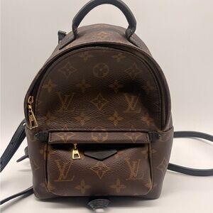 Louis Vuitton Brown Monogram Palm Springs Mini Backpack